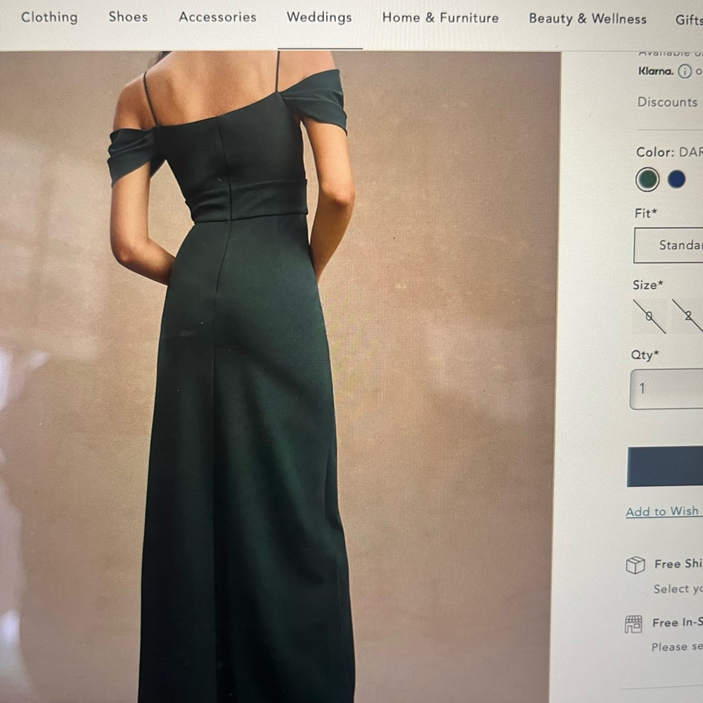 Sachin and Babi green long dress